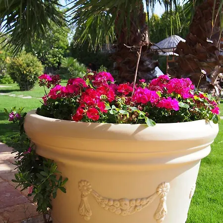 Kapari - Special Category 4* אלאקאטי