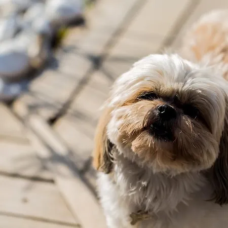 Kapari - Special Category מלון 4*