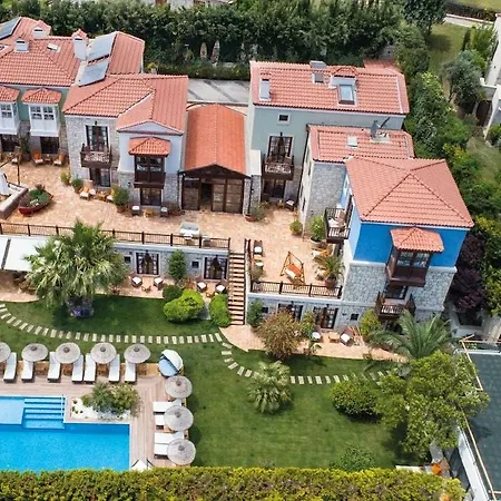 Kapari - Special Category