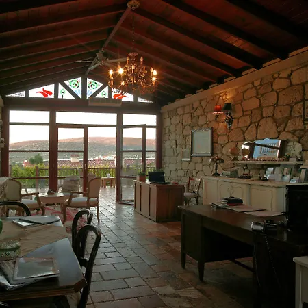 Kapari - Special Category 4* אלאקאטי