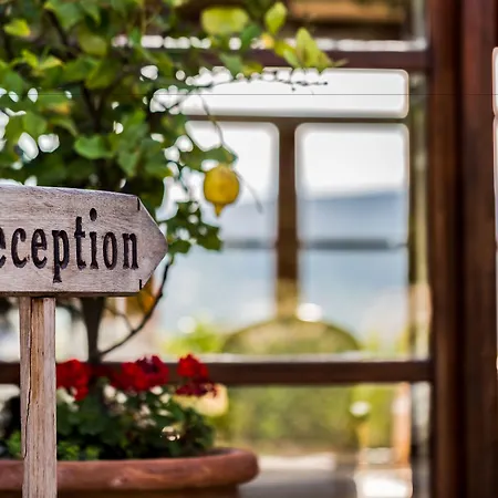 Kapari - Special Category מלון אלאקאטי