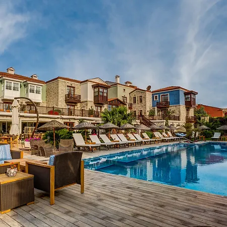 Kapari - Special Category אלאקאטי