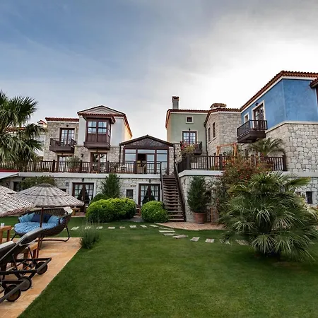 Kapari - Special Category 4*